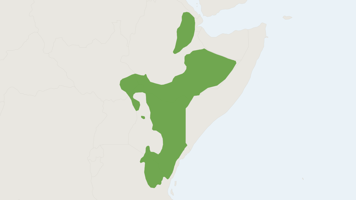 Range map of the Beisa Oryx (Oryx beisa)