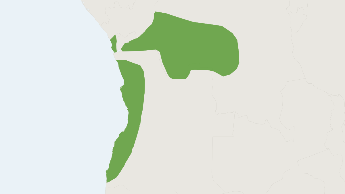 Range map of the Bell Groove-toothed Swamp Rat (Pelomys campanae)