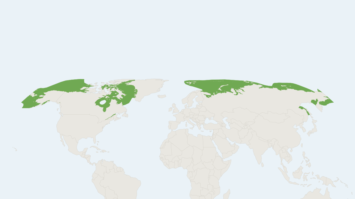 Range map of the Beluga Whale (Delphinapterus leucas) covering Canada, Greenland and Norway