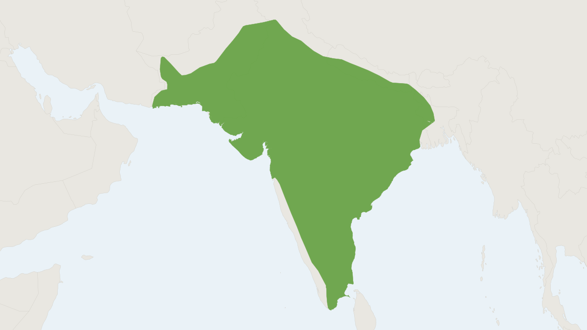 Range map of the Bengal Fox (Vulpes bengalensis)