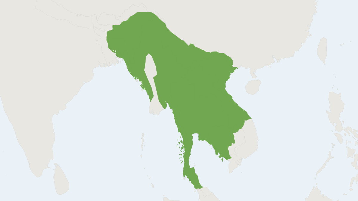 Range map of the Bengal Slow Loris (Nycticebus bengalensis)