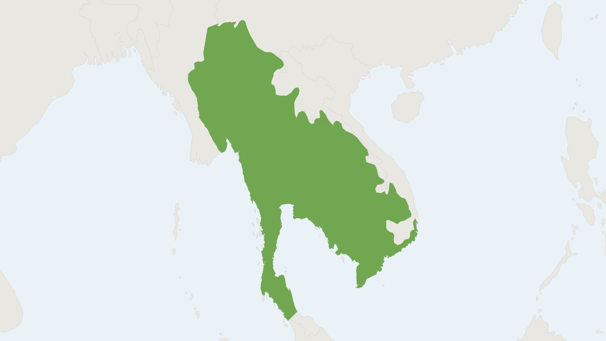 Range map of the Berdmore’s Squirrel (Menetes berdmorei)