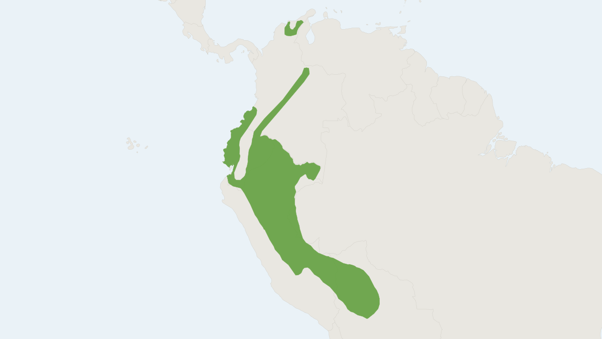 Range map of the Bicolor-spined Porcupine (Coendou bicolor) covering Bolivia, Brazil and Colombia