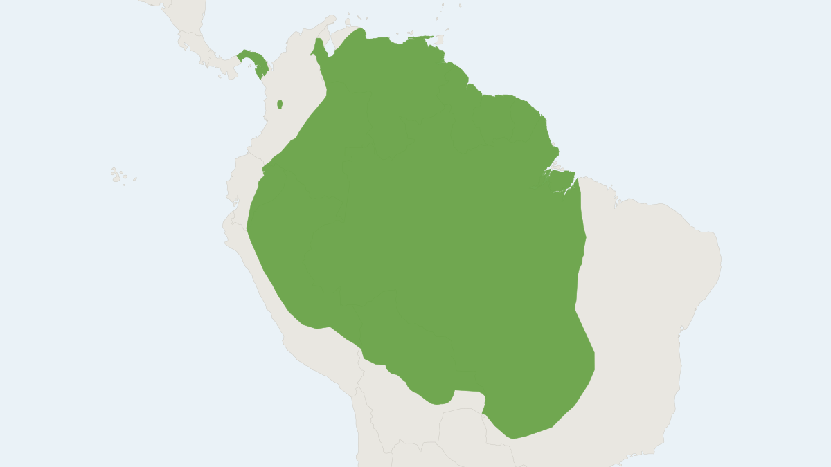 Range map of the Bicolored Arboreal Rice Rat (Oecomys bicolor)