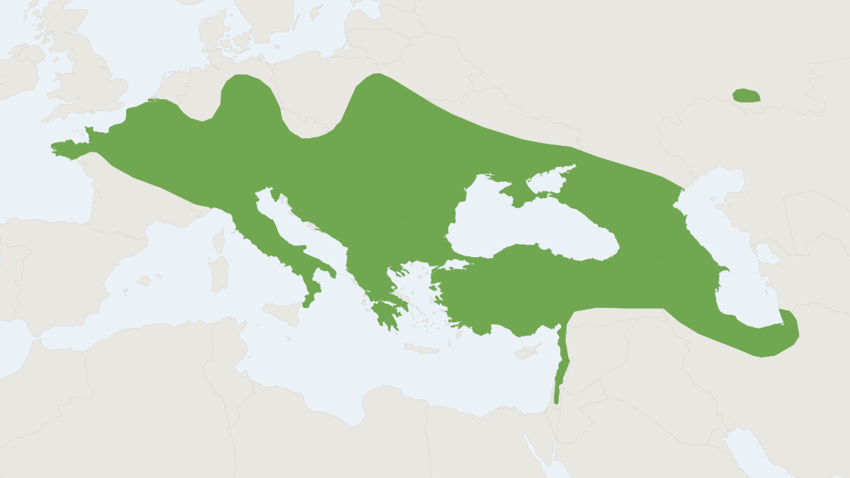 Range map of the Bicolored Shrew (Crocidura leucodon)