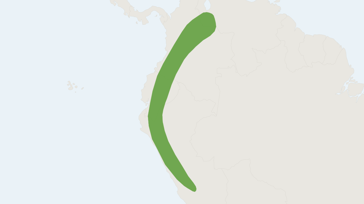 Range map of the Bidentate Yellow-shouldered Bat (Sturnira bidens)