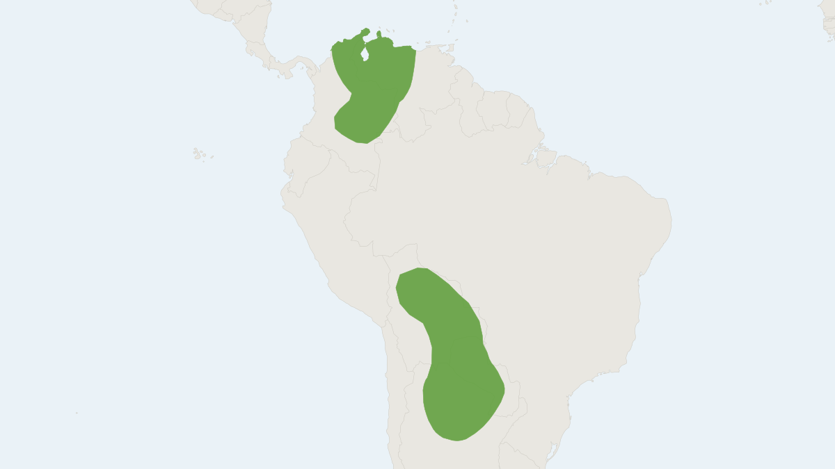 Range map of the Big Bonneted Bat (Eumops dabbenei)
