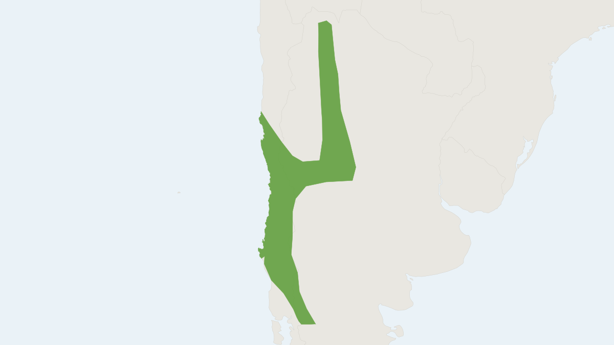 Range map of the Big-eared Brown Bat (Histiotus macrotus)