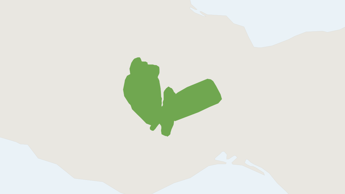 Range map of the Big Mexican Small-eared Shrew (Cryptotis magna) covering Mexico