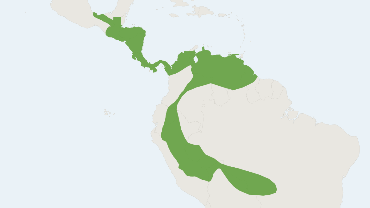 Range map of the Big Naked-backed Bat (Pteronotus gymnonotus)