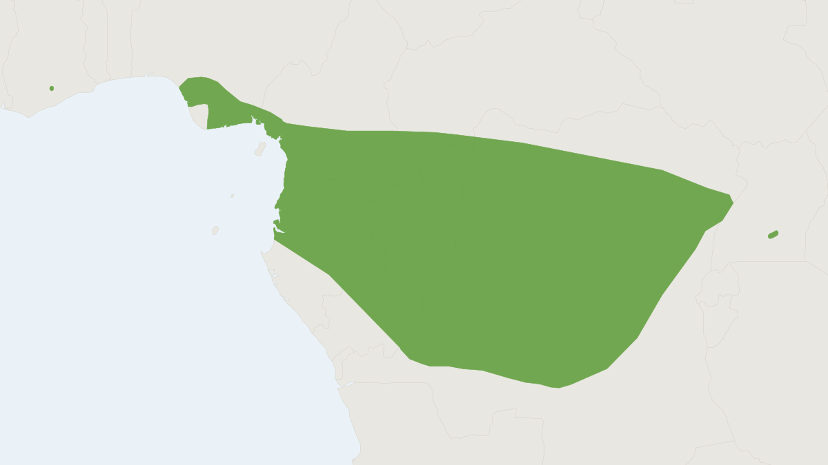Range map of the Bini Free-tailed Bat (Myopterus whitleyi)