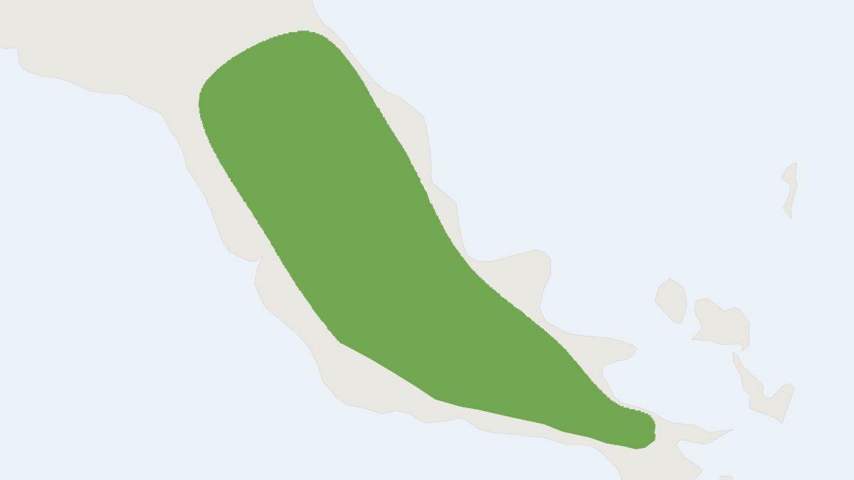 Range map of the Bishop’s Moss Mouse (Pseudohydromys berniceae)
