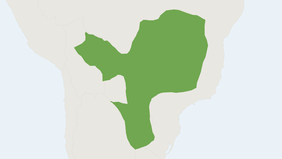 Range map of the Black and Gold Howler Monkey (Alouatta caraya) covering Argentina, Bolivia and Brazil