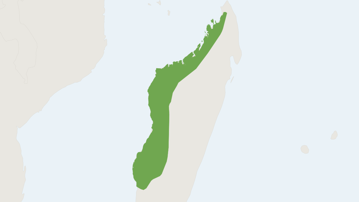 Range map of the Black And Red Free-tailed Bat (Mops jobimena)