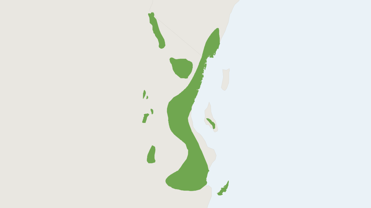 Range map of the Black and Rufous Sengi (Rhynchocyon petersi)