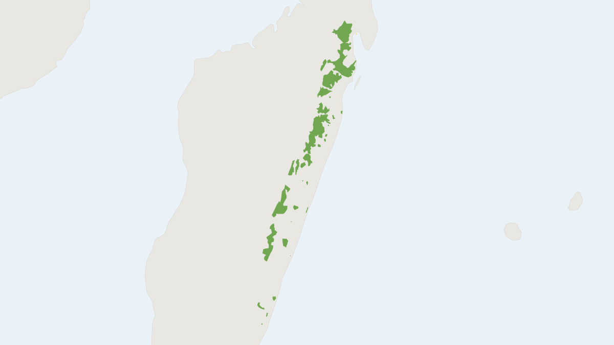 Range map of the Black-and-white Ruffed Lemur (Varecia variegata)