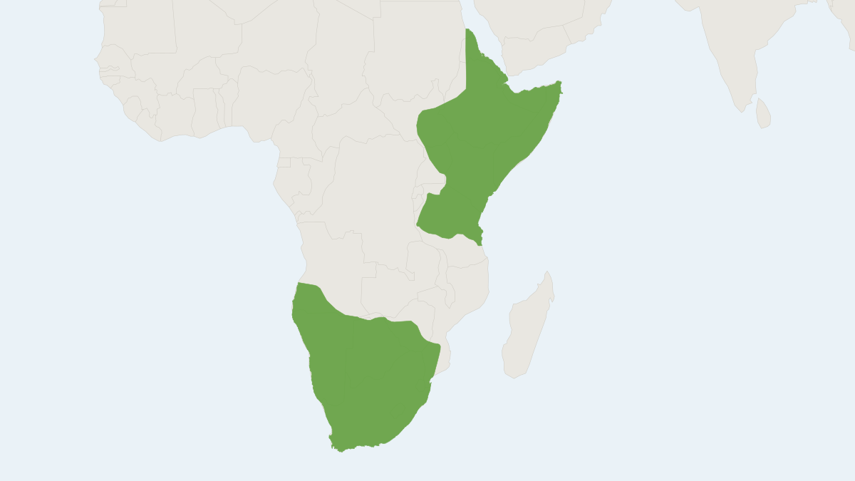 Range map of the Black-backed Jackal (Lupulella mesomelas) covering Angola, Botswana and Ethiopia