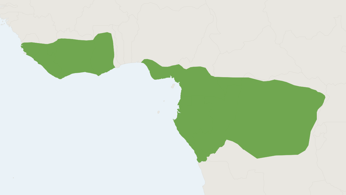 Range map of the Black-bellied Pangolin (Phataginus tetradactyla)