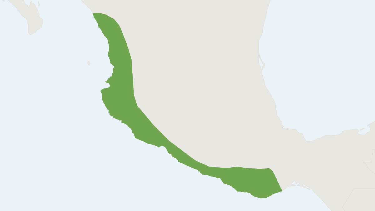 Range map of the Black-eared Rice Rat (Casiomys melanotis)