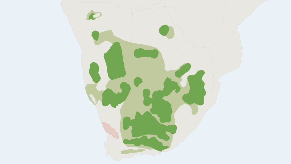 Range map of the Black-footed Cat (Felis nigripes) covering Botswana, Namibia and South Africa