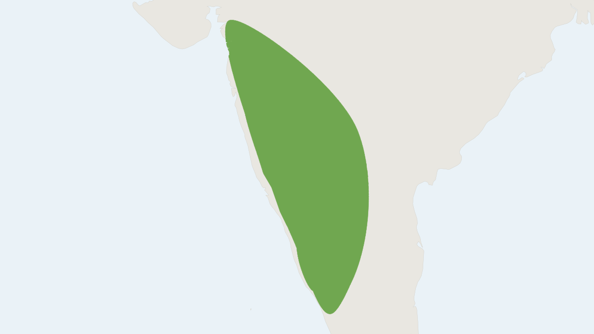 Range map of the Black-footed Gray Langur (Semnopithecus hypoleucos)