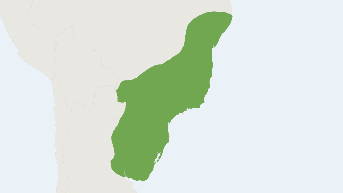 Range map of the Black-footed Pygmy Rice Rat (Oligoryzomys nigripes)