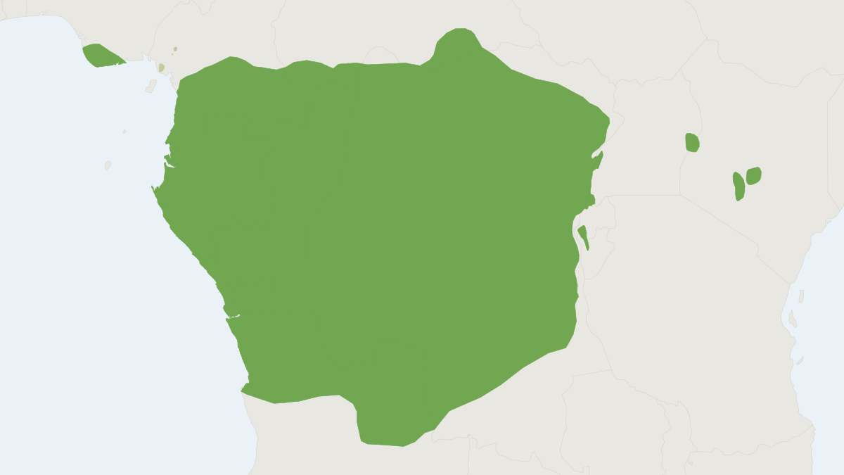 Range map of the Black-fronted Duiker (Cephalophus nigrifrons) covering Burundi, Cameroon and Central African Republic