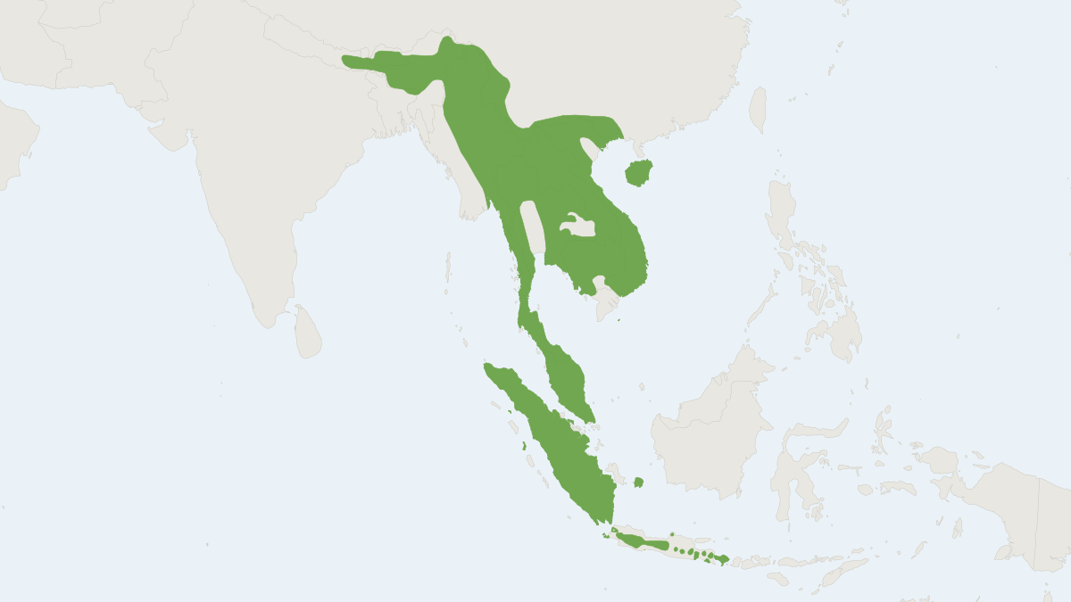 Range map of the Black Giant Squirrel (Ratufa bicolor)