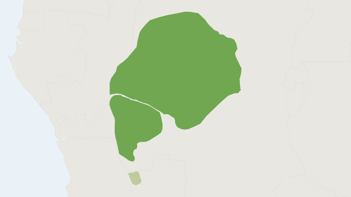 Range map of the Black Mangabey (Lophocebus aterrimus)