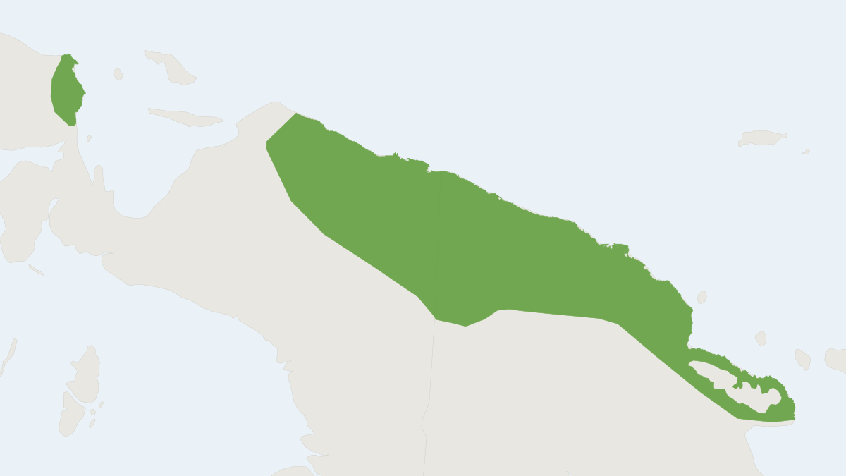 Range map of the Black Spotted Cuscus (Spilocuscus rufoniger)