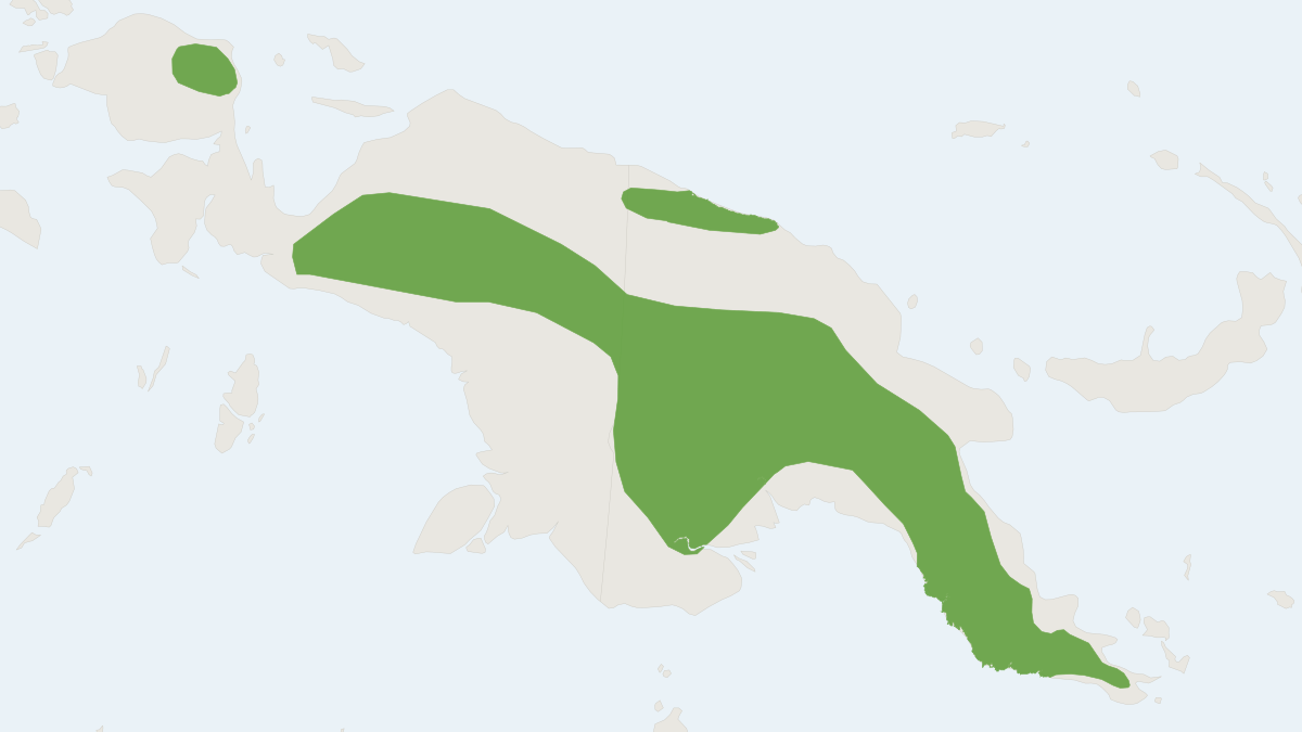 Range map of the Black-tailed Dasyure (Murexia melanura) covering Indonesia and Papua New Guinea