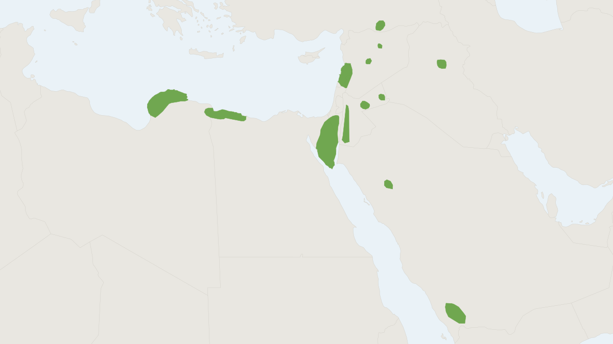 Range map of the Black-tailed Garden Dormouse (Eliomys melanurus)