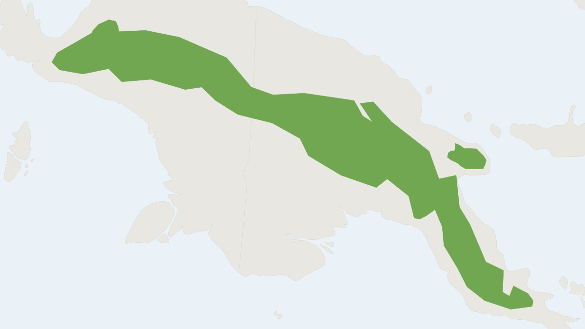 Range map of the Black-tailed Giant Rat (Uromys anak)