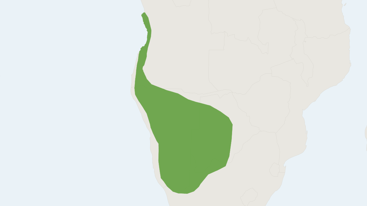 Range map of the Black-tailed Thallomys (Thallomys nigricauda)
