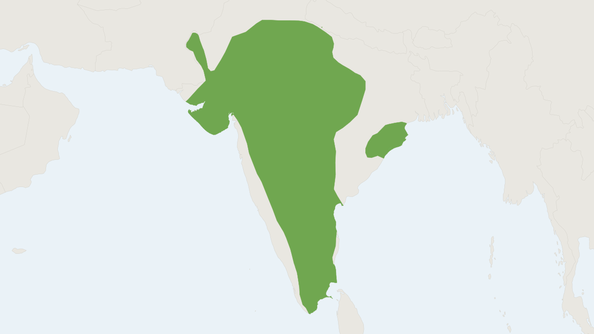 Range map of the Blackbuck (Antilope cervicapra) covering Argentina, India and Nepal