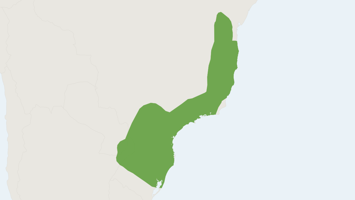 Range map of the Blackish Grass Mouse (Thaptomys nigrita) covering Argentina, Brazil and Paraguay