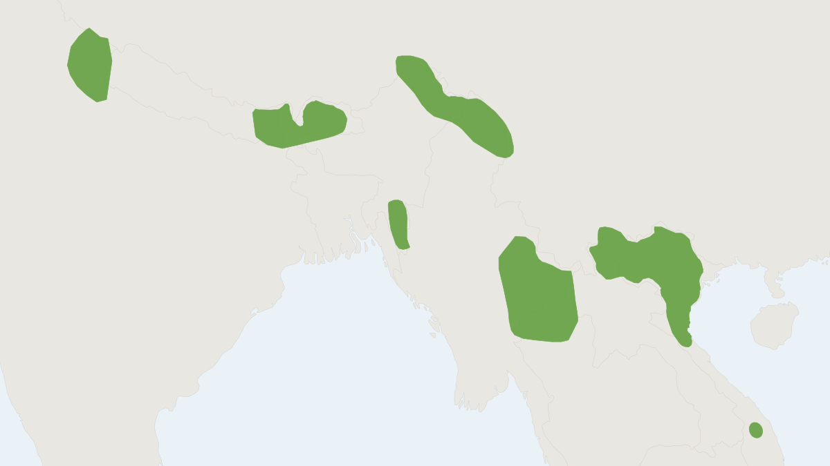 Range map of the Blandford's Fruit Bat (Sphaerias blanfordi)