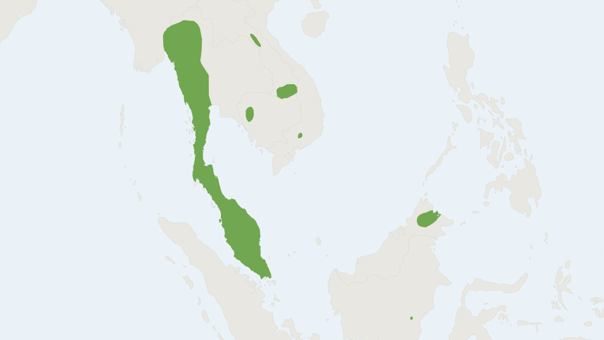 Range map of the Blanford's Bat (Hesperoptenus blanfordi)