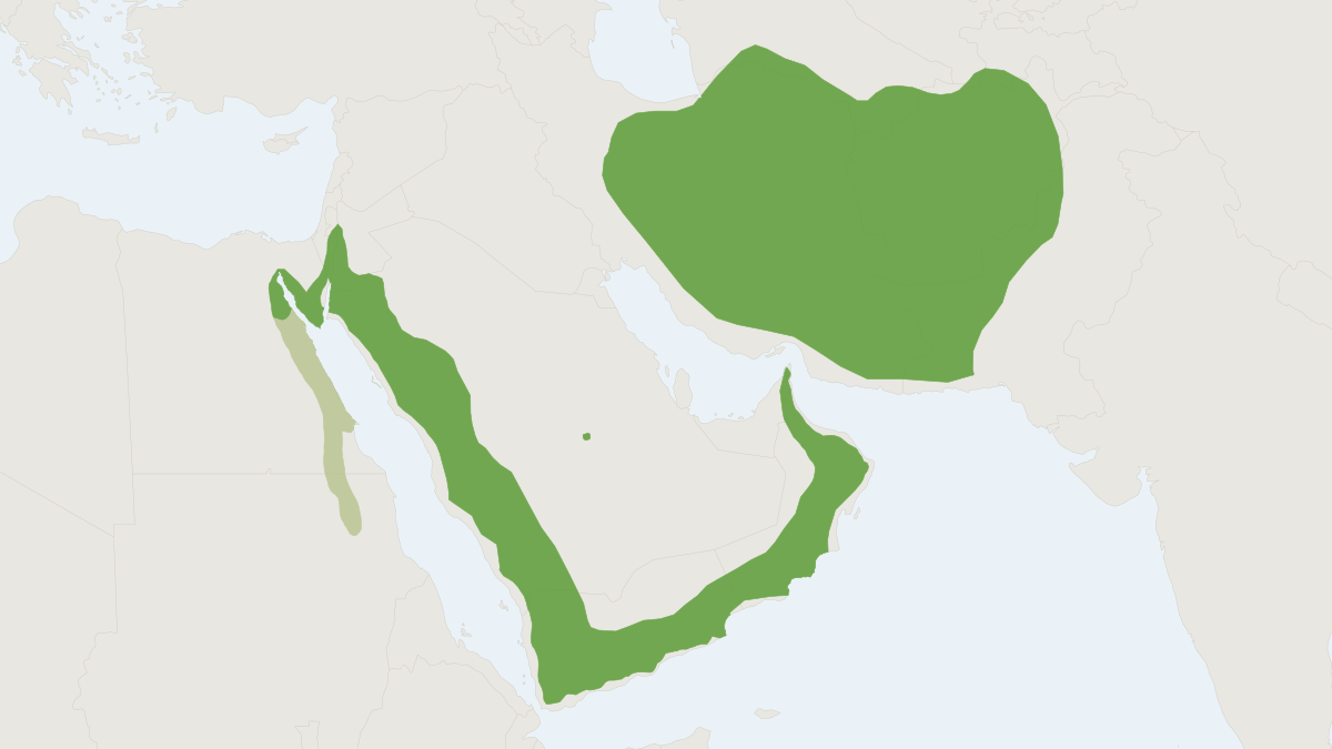 Range map of the Blanford's Fox (Vulpes cana)