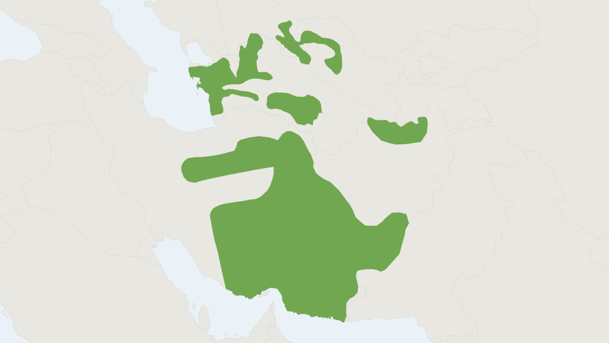 Range map of the Blanford’s Jerboa (Jaculus blanfordi)