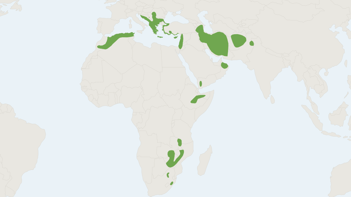 Range map of the Blasius's Horseshoe Bat (Rhinolophus blasii)