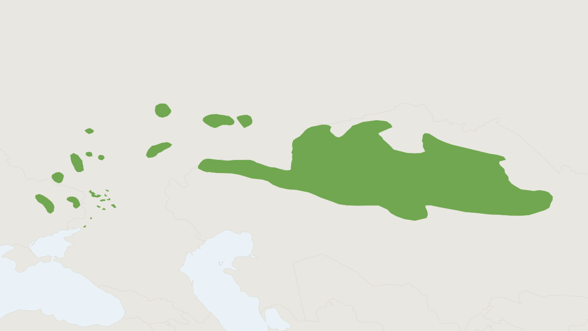 Range map of the Bobak Marmot (Marmota bobak)