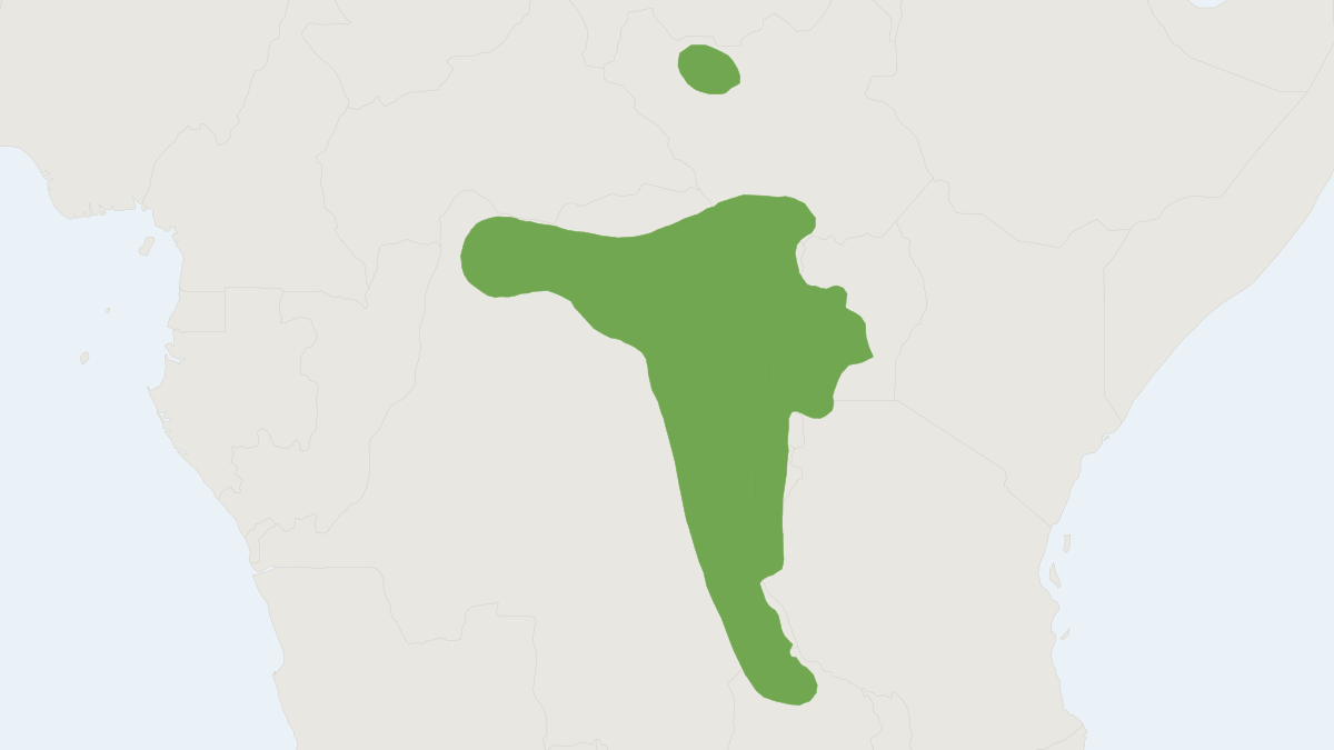 Range map of the Boehm's Bush Squirrel (Paraxerus boehmi)