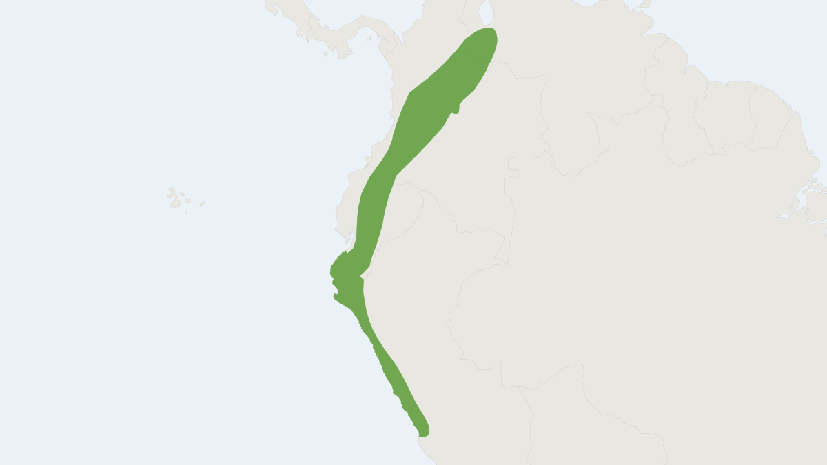 Range map of the Bogota Yellow-shouldered Bat (Sturnira bogotensis)