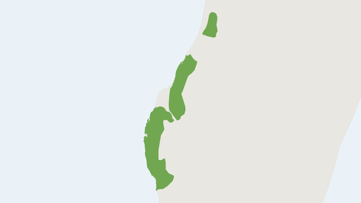Range map of the Bokiboky (Mungotictis decemlineata)