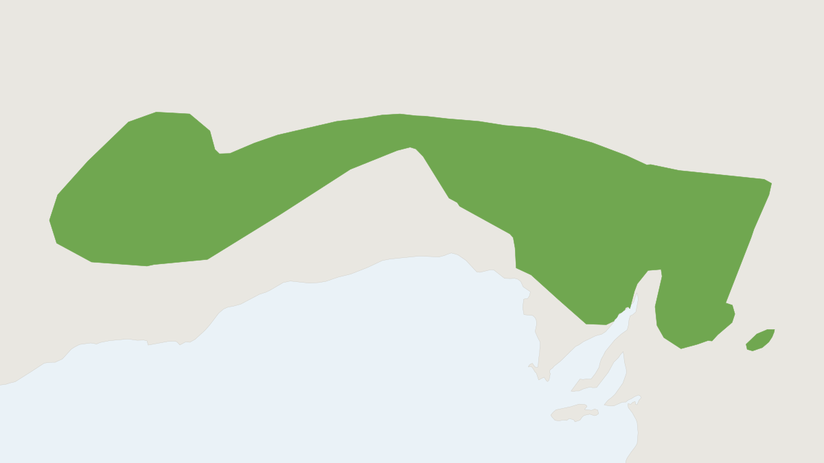 Range map of the Bolam's Mouse (Pseudomys bolami)