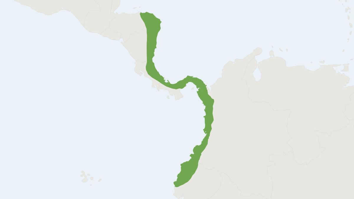 Range map of the Bolivar Rice Rat (Transandinomys bolivaris)