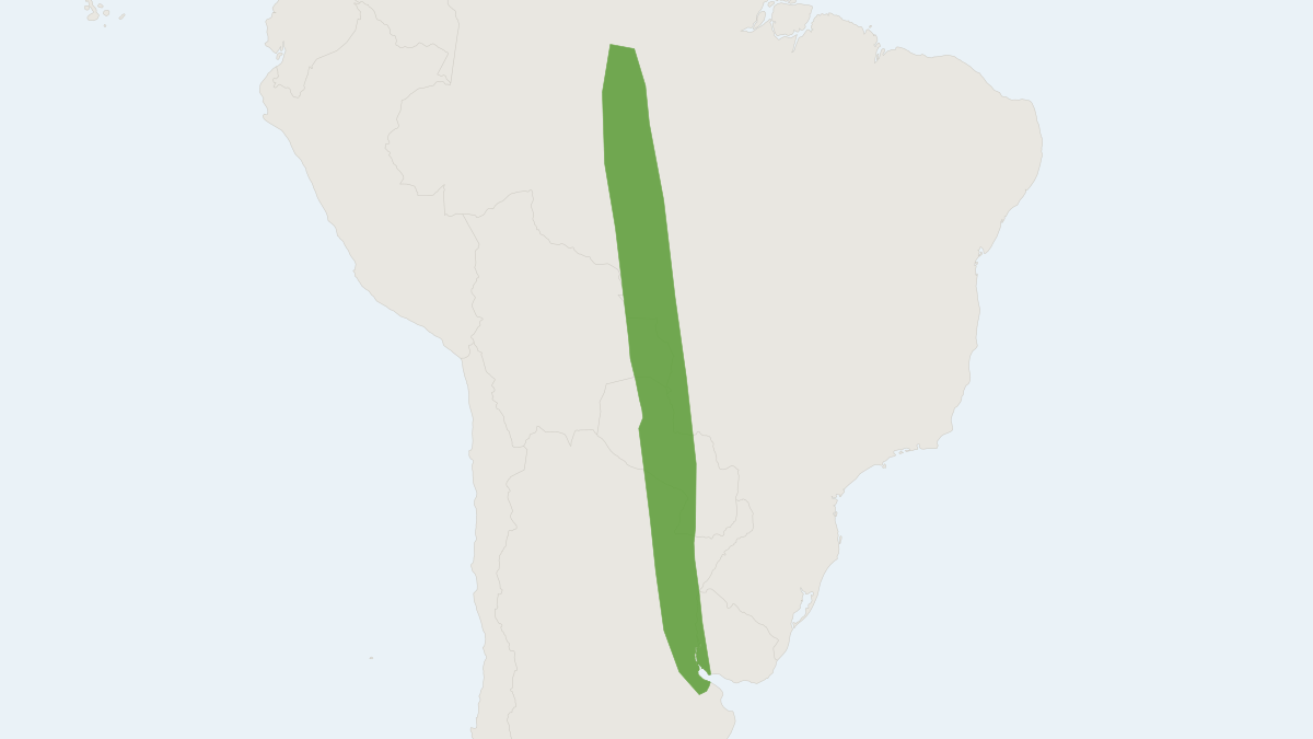 Range map of the Bonda Mastiff Bat (Molossus currentium)