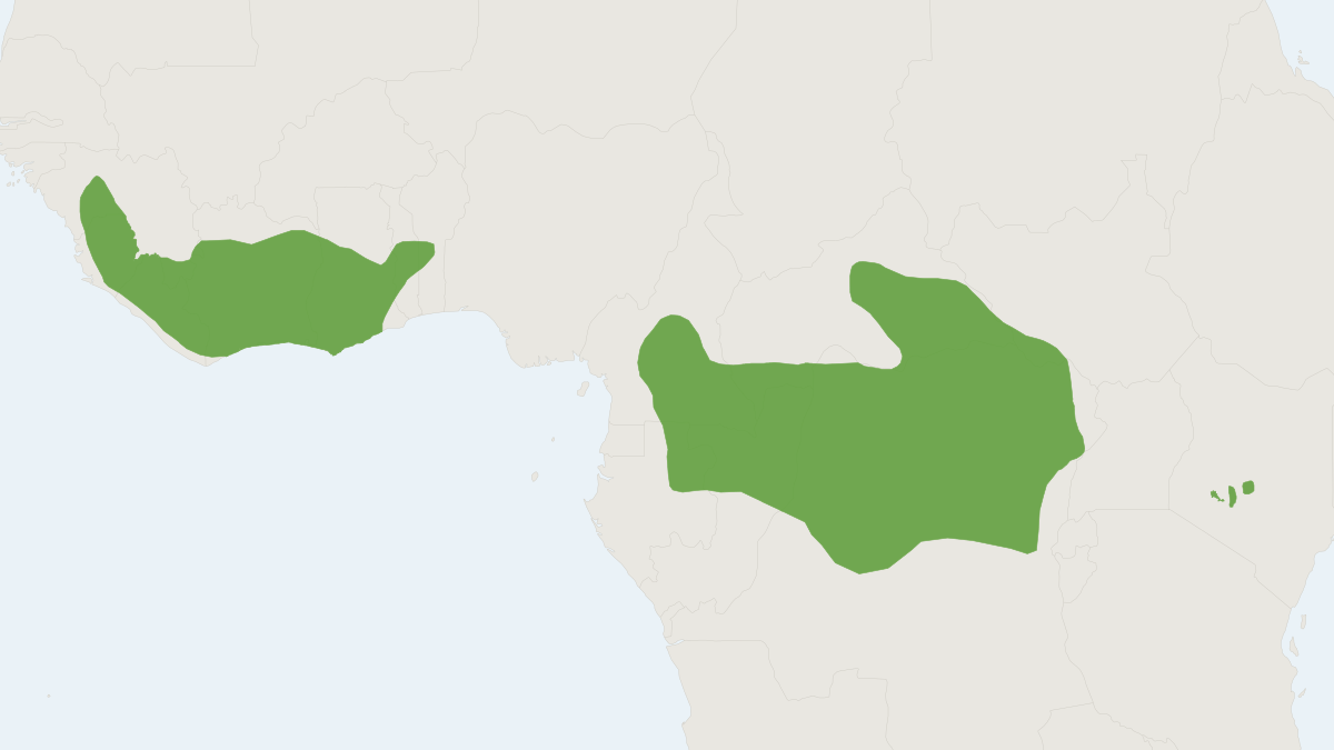 Range map of the Bongo (Tragelaphus eurycerus) covering Cameroon, Central African Republic and Democratic Republic of the Con