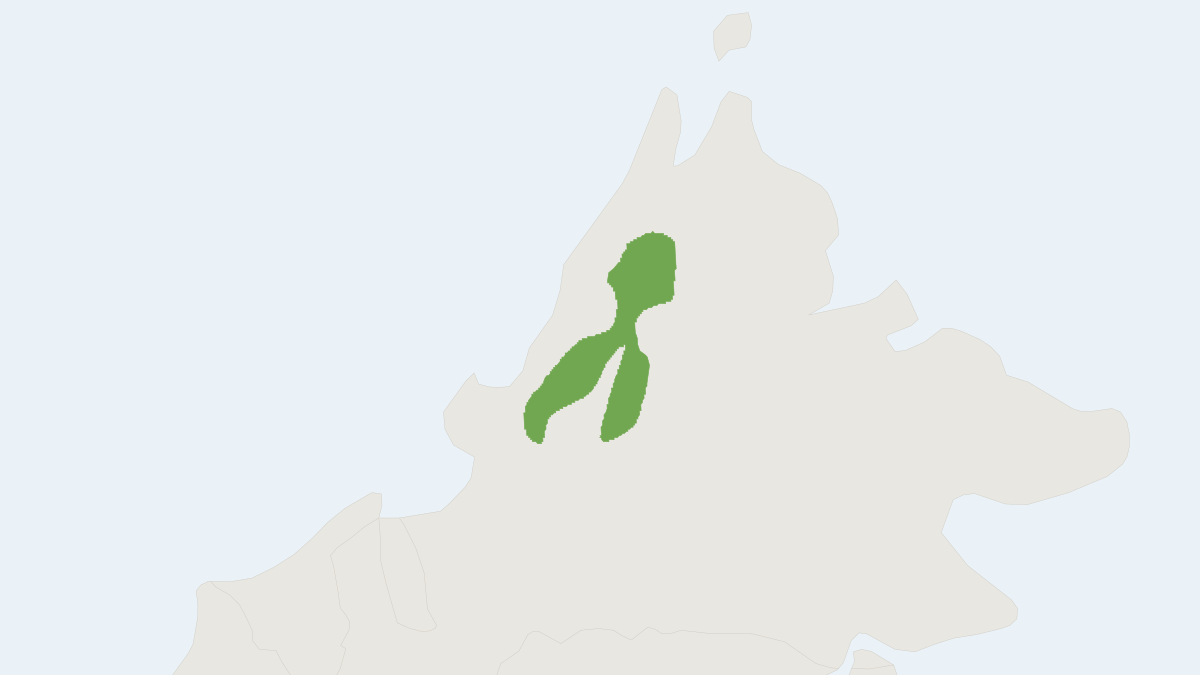 Range map of the Bornean Mountain Maxomys (Maxomys alticola)